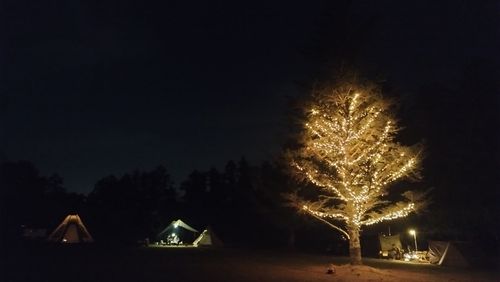 あけましておめでとうごニャイます！🐱（byまきお） ラピュタファームキャンプ場 グループキャンプ フリーサイト スローライフに憧れるさんのキャンプブログ CAMPiii（キャンピー） -キャンプ専用SNS キャンプのすべてがここに集まる-