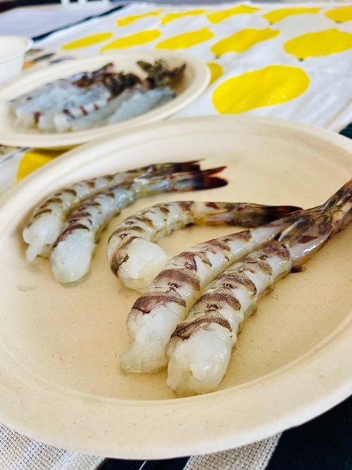 夏の海で秋穂の特産品を堪能する旨いものおじキャン△ in 美濃ヶ浜海浜公園 〜 CAMP NO.205 美濃ケ浜海浜広場 ソロキャンプ フリーサイト おじキャン△さんのキャンプブログ CAMPiii（キャンピー） -キャンプ専用SNS キャンプのすべてがここに集まる-