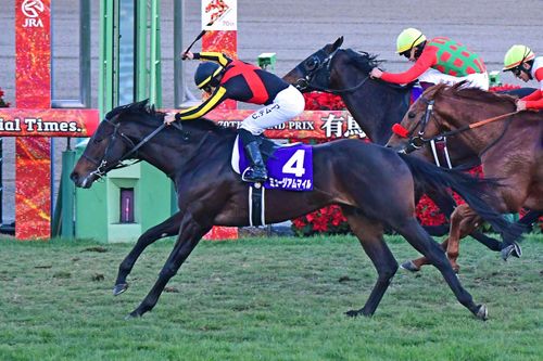 コスモキュランダ ともえ川Park ソロキャンプ グループキャンプ 区画サイト オートサイト IZUIZUさんのキャンプブログ CAMPiii（キャンピー） -キャンプ専用SNS キャンプのすべてがここに集まる-