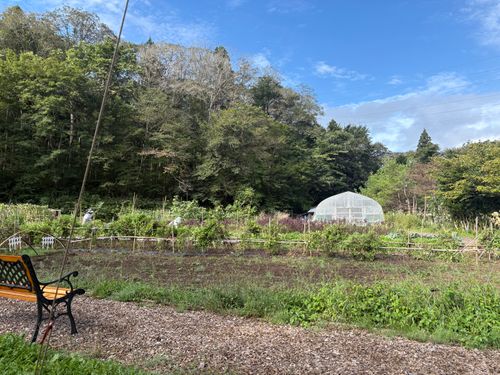 期間限定の独身✖︎読書🟰独書キャンプ🏕️ 奥州平泉温泉 そば庵 しづか亭 ソロキャンプ 区画サイト ぱぱちょさんのキャンプブログ CAMPiii（キャンピー） -キャンプ専用SNS キャンプのすべてがここに集まる-