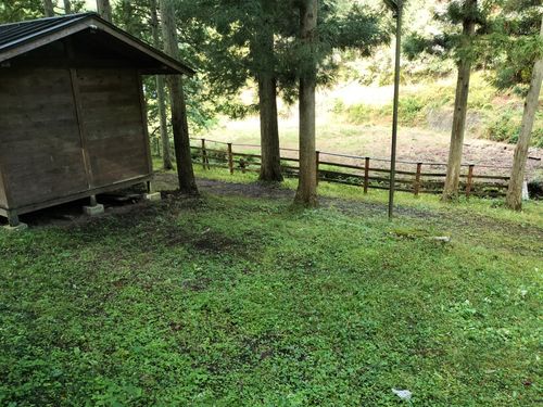 🎃ハロキャン🎃2025 御殿山キャンプ場 グループキャンプ ソロキャンプ フリーサイト オートサイト たかたかぽんたさんのキャンプブログ CAMPiii（キャンピー） -キャンプ専用SNS キャンプのすべてがここに集まる-