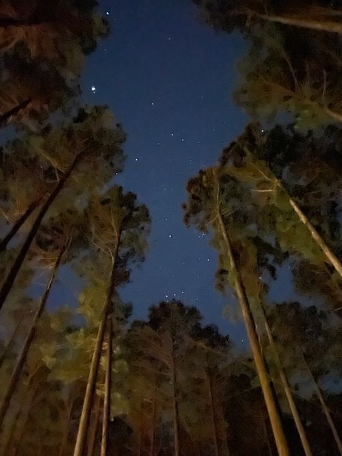 徒歩ソロで行く、いこいの森 RECAMP おだわら 小田原市いこいの森 RECAMP おだわら ソロキャンプ 区画サイト ma9さんのキャンプブログ CAMPiii（キャンピー） -キャンプ専用SNS キャンプのすべてがここに集まる-