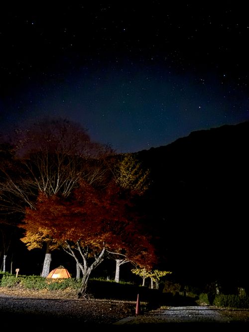 ①季節外れのUNAGI とDONABEで米を炊く🌾 ②ボージョレ・ヌーボー解禁日🍷にキャンプ🏕️ ③4年前と同じ場所で紅葉狩り🍁 大久保キャンプ場 ソロキャンプ 区画サイト waccy0441さんのキャンプブログ CAMPiii（キャンピー） -キャンプ専用SNS キャンプのすべてがここに集まる-