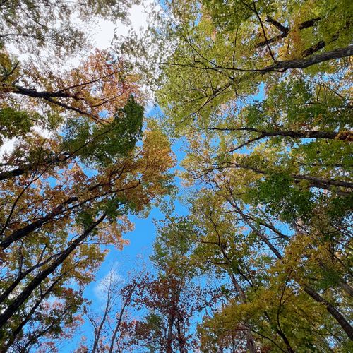 2泊3日森ソロ 葛尾村森林公園もりもりランド ソロキャンプ オートサイト 区画サイト ド・スタールさんのキャンプブログ CAMPiii（キャンピー） -キャンプ専用SNS キャンプのすべてがここに集まる-