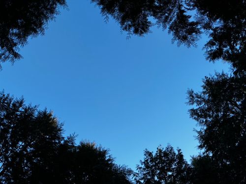 ワラサンキャンプサイト ワラサンキャンプサイト ソロキャンプ 区画サイト Maaaaaa!さんのキャンプブログ CAMPiii（キャンピー） -キャンプ専用SNS キャンプのすべてがここに集まる-