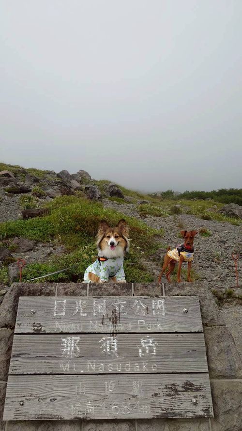 CAMPiii（キャンピー） まーささんのキャンプブログ 犬キャン！ スリーアローズ那須キャンプビレッジ