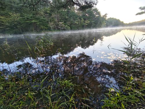 台風一過 あいの沢オートキャンプ場 ソロキャンプ フリーサイト けい＠福島県さんのキャンプブログ CAMPiii（キャンピー） -キャンプ専用SNS キャンプのすべてがここに集まる-