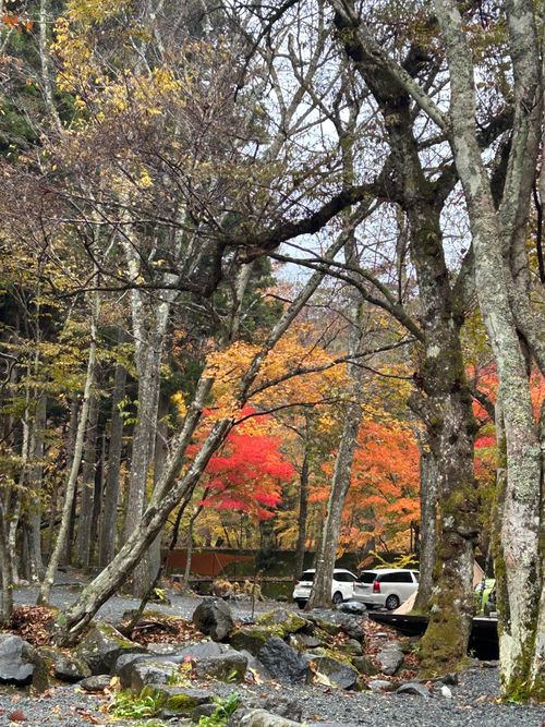紅葉🍁キャンプ 山伏オートキャンプ場 ソロキャンプ グループキャンプ 区画サイト Genさんのキャンプブログ CAMPiii（キャンピー） -キャンプ専用SNS キャンプのすべてがここに集まる-