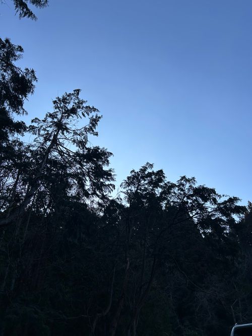 完全に寒波を逃した初キャンプ キャンプ場 クラブ篠山 ソロキャンプ 区画サイト フリーサイト おくさんさんのキャンプブログ CAMPiii（キャンピー） -キャンプ専用SNS キャンプのすべてがここに集まる-