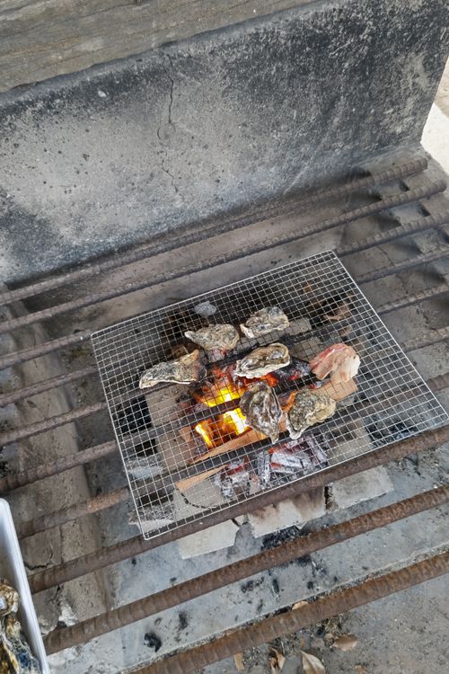 100回目のキャンプはみんなが集まってくれた 大浦崎公園キャンプ場 グループキャンプ フリーサイト サイババ-SBBcampさんのキャンプブログ CAMPiii（キャンピー） -キャンプ専用SNS キャンプのすべてがここに集まる-