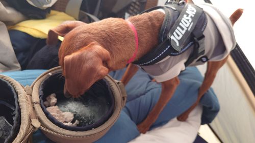 思いがけない雪中キャンプ！ UJackむつざわオートキャンプ場（泊地） ソロキャンプ グループキャンプ 区画サイト まーささんのキャンプブログ CAMPiii（キャンピー） -キャンプ専用SNS キャンプのすべてがここに集まる-