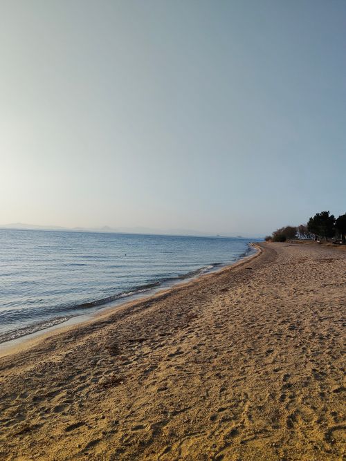 強風でお試しタープ 青柳浜キャンプ場 ソロキャンプ 区画サイト おっとまんSさんのキャンプブログ CAMPiii（キャンピー） -キャンプ専用SNS キャンプのすべてがここに集まる-