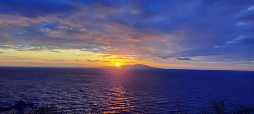 車中泊旅🚗  RVパーク 伊豆黒根岬 ソロキャンプ 夢見るクマさんのキャンプブログ CAMPiii（キャンピー） -キャンプ専用SNS キャンプのすべてがここに集まる-