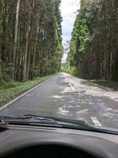 2026年14泊目 PICA表富士 ソロキャンプ フリーサイト アニさんのキャンプブログ CAMPiii（キャンピー） -キャンプ専用SNS キャンプのすべてがここに集まる-