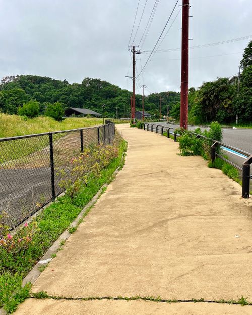 初挑戦‼️シーカヤックと24名の女性たち🩷初心者大歓迎のキャンプイベントだっちゃ🔰 松島自然の家(野外活動フィールド) Oniyomeさんのキャンプブログ CAMPiii（キャンピー） -キャンプ専用SNS キャンプのすべてがここに集まる-