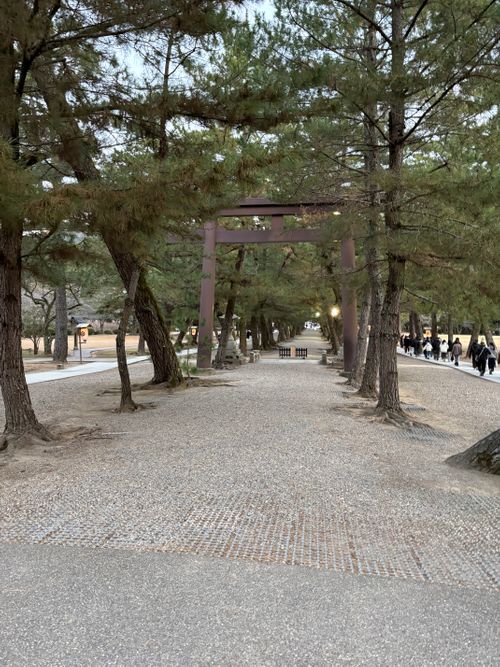 第92話　出雲は美味しい街だった！ 平田森林公園キャンプ場 ソロキャンプ フリーサイト ちろ犬さんのキャンプブログ CAMPiii（キャンピー） -キャンプ専用SNS キャンプのすべてがここに集まる-