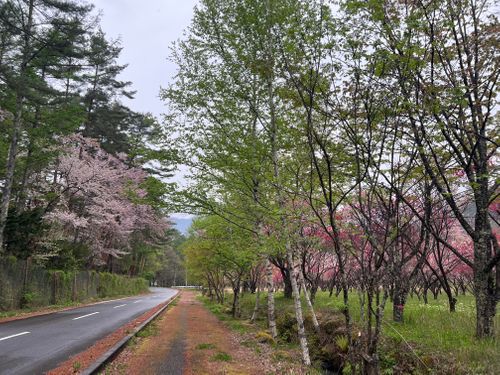 GWだ！キャンプだ‼︎雨だｰ!!! 木曽駒森林公園 ソロキャンプ グループキャンプ 区画サイト KABUTOさんのキャンプブログ CAMPiii（キャンピー） -キャンプ専用SNS キャンプのすべてがここに集まる-