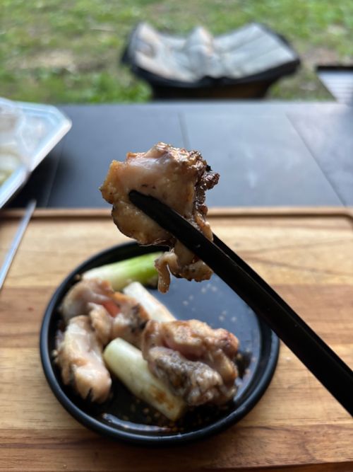 ４月キャンプ⛺️ 智光山公園 キャンプ場 ソロキャンプ フリーサイト boorishcamperさんのキャンプブログ CAMPiii（キャンピー） -キャンプ専用SNS キャンプのすべてがここに集まる-