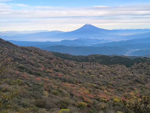 ツーリング登山キャンプ 河津オートキャンプ場 ソロキャンプ グループキャンプ 区画サイト オートサイト としえもんさんのキャンプブログ CAMPiii（キャンピー） -キャンプ専用SNS キャンプのすべてがここに集まる-