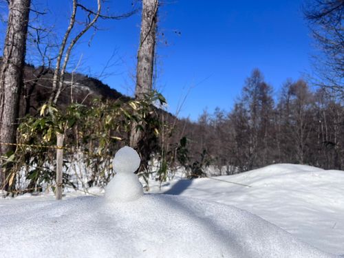 雪中が好きです 飛騨荘川 一色の森キャンプ場 ソロキャンプ グループキャンプ 区画サイト オートサイト たかたかぽんたさんのキャンプブログ CAMPiii（キャンピー） -キャンプ専用SNS キャンプのすべてがここに集まる-