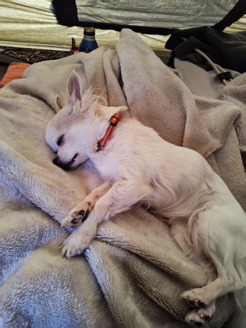 有休取ったけど午前中は仕事してからの完ソロ FOME BASE ソロキャンプ フリーサイト けい＠福島県さんのキャンプブログ CAMPiii（キャンピー） -キャンプ専用SNS キャンプのすべてがここに集まる-