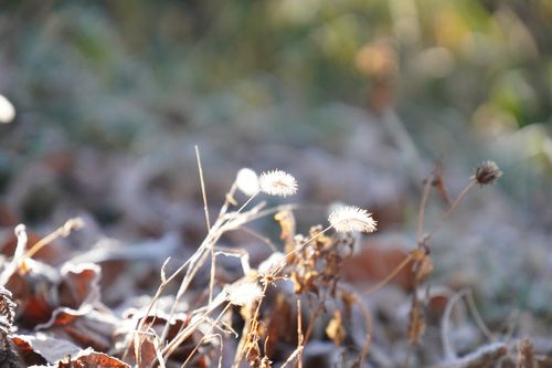 いつの間にか沢山揃ったソログル2連泊 ともえ川Park グループキャンプ 区画サイト 週末スナフキンさんのキャンプブログ CAMPiii（キャンピー） -キャンプ専用SNS キャンプのすべてがここに集まる-