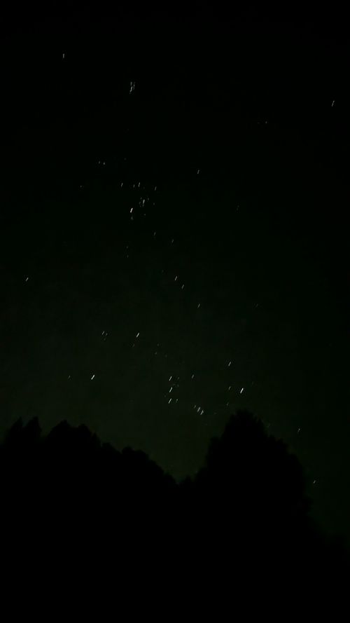 バージョン違いを楽しむグルキャン🏕️ 野々川グランビューパーク ソロキャンプ ファミリーキャンプ グループキャンプ オートサイト ヒゲキャンさんのキャンプブログ CAMPiii(キャンピー) -キャンプ専用SNS キャンプのすべてがここに集まる-