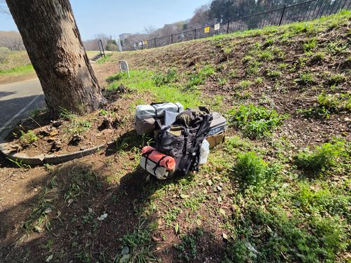 オッサン、清瀬に帰る 清瀬金山緑地公園 ソロキャンプ フリーサイト やんさんのキャンプブログ CAMPiii（キャンピー） -キャンプ専用SNS キャンプのすべてがここに集まる-