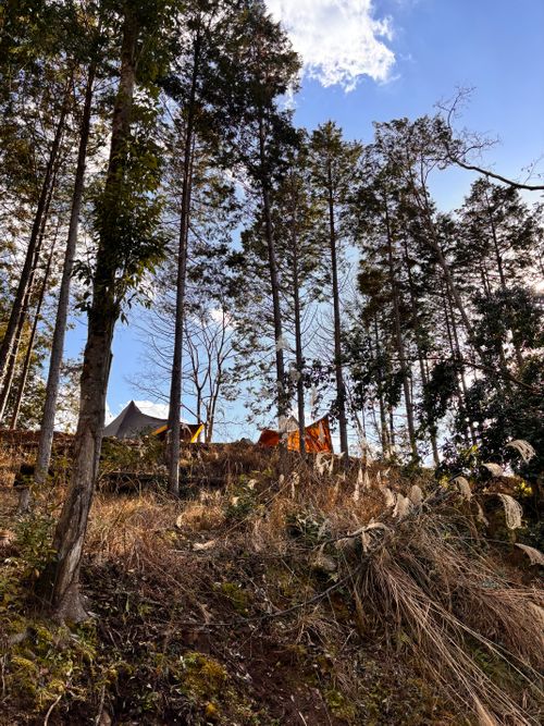 あけまして2026。 KAWAI VILLAGE CAMP グループキャンプ 区画サイト オートサイト あやぴーさんのキャンプブログ CAMPiii（キャンピー） -キャンプ専用SNS キャンプのすべてがここに集まる-