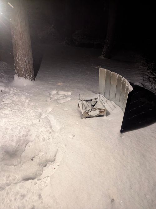 2026初キャンプ！SnowCamp withCAT！ the veg out ソロキャンプ グループキャンプ 区画サイト オートサイト ちあさんのキャンプブログ CAMPiii（キャンピー） -キャンプ専用SNS キャンプのすべてがここに集まる-