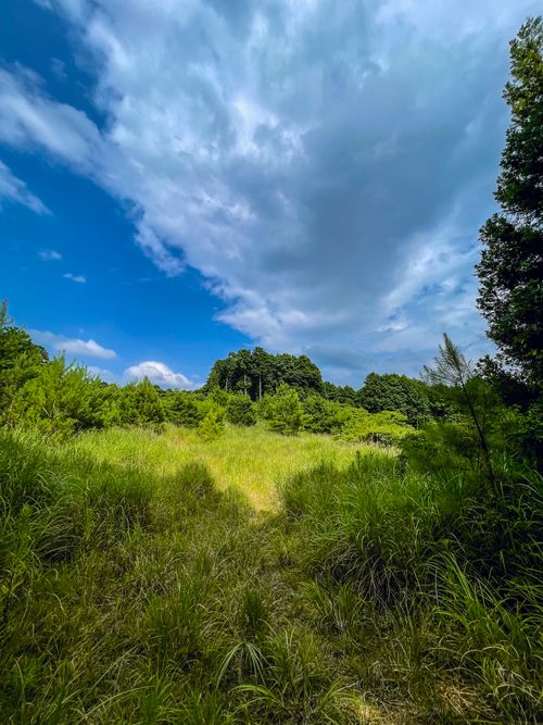 山買いました🏕️ 伊予石城駅 ソロキャンプ フリーサイト 空飛ぶくじらさんのキャンプブログ CAMPiii（キャンピー） -キャンプ専用SNS キャンプのすべてがここに集まる-