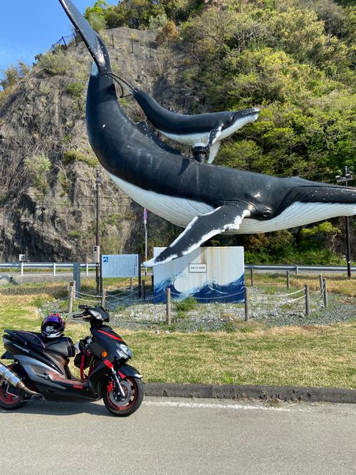 咸陽島公園キャンプ⛺️※過去キャンプ⛺️ 咸陽島公園 ソロキャンプ フリーサイト 平和☮️さんのキャンプブログ CAMPiii（キャンピー） -キャンプ専用SNS キャンプのすべてがここに集まる-