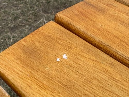 ①ブラックフライデーで買った新幕初張り⛺️②石油ストーブを使ってみた。③ ペコリーノ缶開封の儀🐟④出産祝いのお返しにいただいた「北海道海鮮鍋」🍲 ふもとっぱらキャンプ場 ソロキャンプ フリーサイト オートサイト waccy0441さんのキャンプブログ CAMPiii（キャンピー） -キャンプ専用SNS キャンプのすべてがここに集まる-