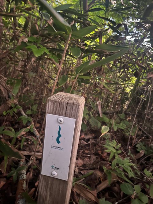 みちのく潮風トレイル 福島 相馬編 貸し切りができる小さなキャンプ場 beeto ソロキャンプ 区画サイト まっつんさんのキャンプブログ CAMPiii(キャンピー) -キャンプ専用SNS キャンプのすべてがここに集まる-