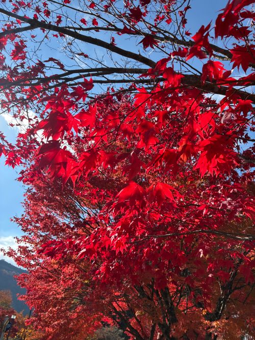 ソロキャンvol.6湯キャンプ 湯キャンプ ソロキャンプ 区画サイト 92さんのキャンプブログ CAMPiii（キャンピー） -キャンプ専用SNS キャンプのすべてがここに集まる-