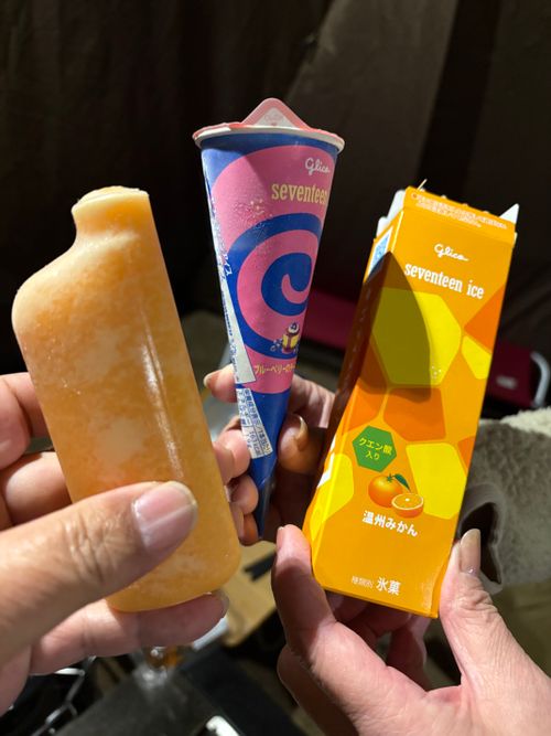 44回 鹿沼キャンプ スノーピーク鹿沼キャンプフィールド＆スパ ファミリーキャンプ フリーサイト ヒロアキングさんのキャンプブログ CAMPiii（キャンピー） -キャンプ専用SNS キャンプのすべてがここに集まる-