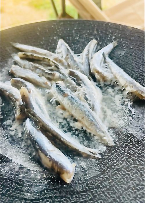 夏の海で秋穂の特産品を堪能する旨いものおじキャン△ in 美濃ヶ浜海浜公園 〜 CAMP NO.205 美濃ケ浜海浜広場 ソロキャンプ フリーサイト おじキャン△さんのキャンプブログ CAMPiii（キャンピー） -キャンプ専用SNS キャンプのすべてがここに集まる-