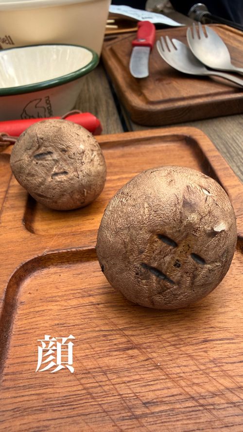 CAMPiii（キャンピー） まりさんのキャンプブログ 顔過ぎるだろ🍄 ひるがの高原キャンプ場