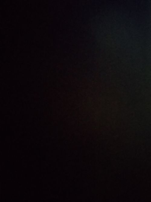 秋晴れカメムシ日和🤣 大父木地親水公園 ソロキャンプ グループキャンプ フリーサイト マッサンさんのキャンプブログ CAMPiii（キャンピー） -キャンプ専用SNS キャンプのすべてがここに集まる-