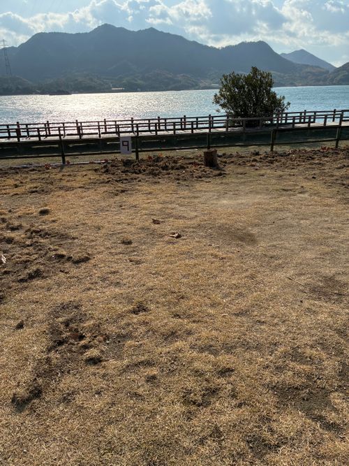 2025年17回目ラストは、うさぎキャン🐇 大久野島キャンプ場 ファミリーキャンプ 区画サイト わいげさんのキャンプブログ CAMPiii（キャンピー） -キャンプ専用SNS キャンプのすべてがここに集まる-