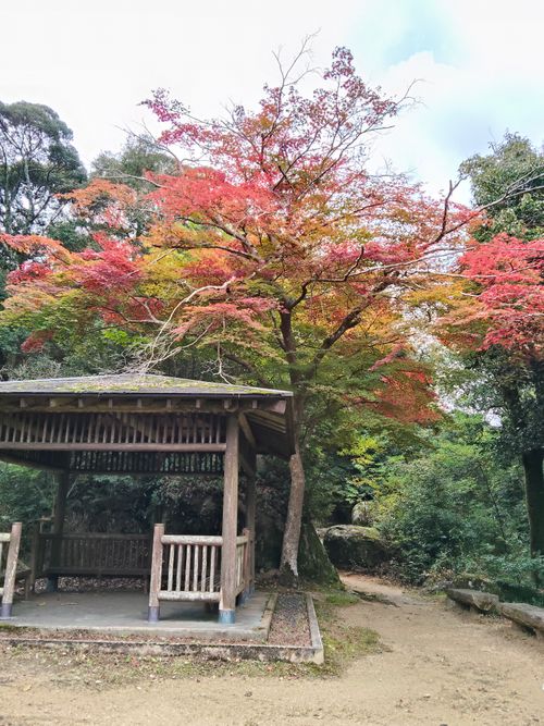 ちょっとハイク 笠置キャンプ場 ソロキャンプ フリーサイト おっとまんSさんのキャンプブログ CAMPiii（キャンピー） -キャンプ専用SNS キャンプのすべてがここに集まる-