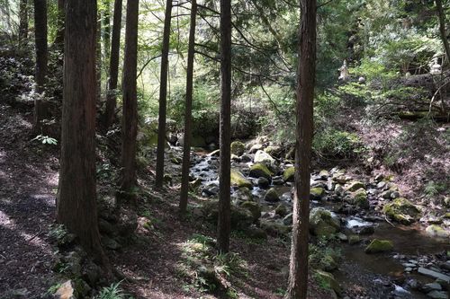 安定のクアハウス クアハウス山小屋 ソロキャンプ 区画サイト 週末スナフキンさんのキャンプブログ CAMPiii（キャンピー） -キャンプ専用SNS キャンプのすべてがここに集まる-