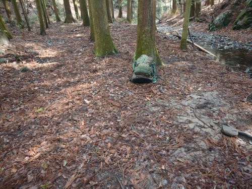 実験キャンプや。 大阪府 ソロキャンプ フリーサイト ぞのさんさんのキャンプブログ CAMPiii（キャンピー） -キャンプ専用SNS キャンプのすべてがここに集まる-