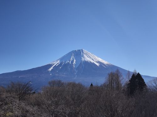 富士キャン 田貫湖キャンプ場 ソロキャンプ グループキャンプ フリーサイト たかたかぽんたさんのキャンプブログ CAMPiii（キャンピー） -キャンプ専用SNS キャンプのすべてがここに集まる-