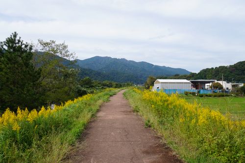 曇り徒歩ソロキャンプ 角田大橋河川敷 ソロキャンプ フリーサイト 週末スナフキンさんのキャンプブログ CAMPiii（キャンピー） -キャンプ専用SNS キャンプのすべてがここに集まる-