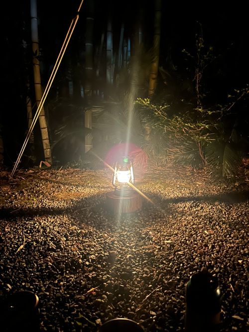 花見キャンプのはずなのに🤔 伊豆キャンパーズヴィレッジ ソロキャンプ フリーサイト Genさんのキャンプブログ CAMPiii（キャンピー） -キャンプ専用SNS キャンプのすべてがここに集まる-