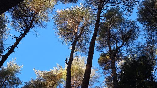 あけおめキャンプは雪でした ＆GREEN龍ケ崎キャンプ場 グループキャンプ フリーサイト ke-nさんのキャンプブログ CAMPiii（キャンピー） -キャンプ専用SNS キャンプのすべてがここに集まる-