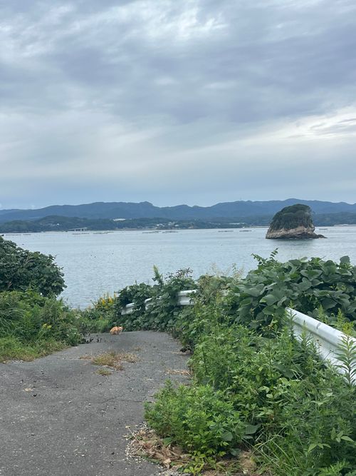 やっぱ、遠征は連泊に限るねぇ😆 神割崎キャンプ場 グループキャンプ ファミリーキャンプ フリーサイト まっつんさんのキャンプブログ CAMPiii(キャンピー) -キャンプ専用SNS キャンプのすべてがここに集まる-