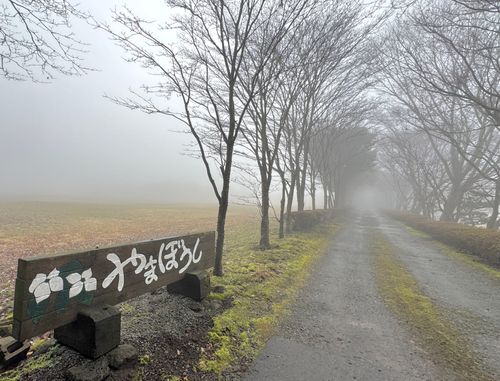 　　　　　　　　　　　富士山は何処に？ やまぼうしオートキャンプ場 ソロキャンプ フリーサイト EJIさんのキャンプブログ CAMPiii（キャンピー） -キャンプ専用SNS キャンプのすべてがここに集まる-