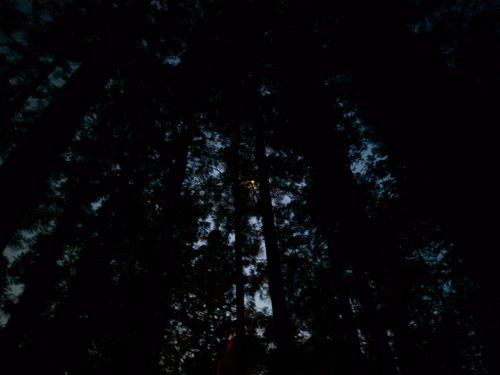 実験キャンプや。 大阪府 ソロキャンプ フリーサイト ぞのさんさんのキャンプブログ CAMPiii（キャンピー） -キャンプ専用SNS キャンプのすべてがここに集まる-